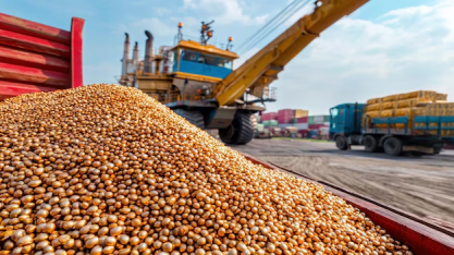 Soja deixa de ser líder em exportação pela segunda vez em dez anos