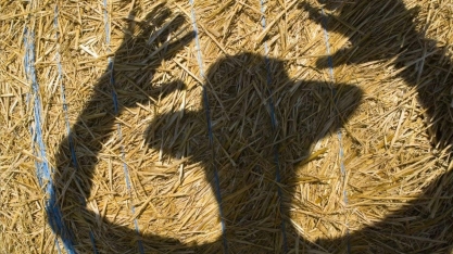 4 grandes golpes no agro que prejudicaram produtores e investidores