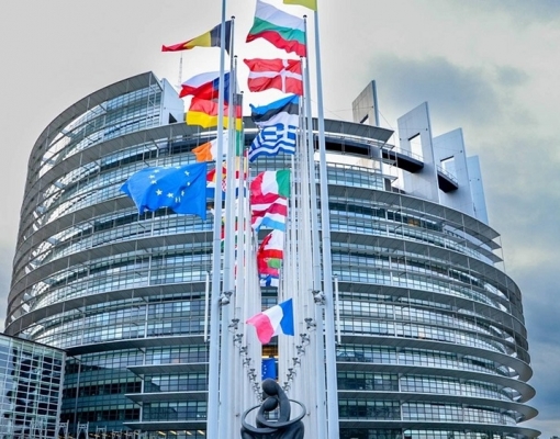 Parlamento Europeu aprova acordo para adiar lei antidesmatamento