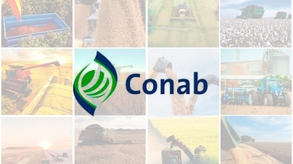 Conab estima produção de 322,4 mi de toneladas de grãos na safra 2024/25 