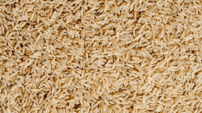 Exportações de arroz caíram 20% em novembro e 26% no ano