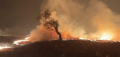 Clima e incêndios afetaram PIB do agronegócio, aponta economista