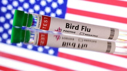 EUA: Leite deve ser testado para evitar propagação da gripe aviária