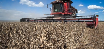 USDA prevê aumento na safra global de soja, mas redução em milho e trigo