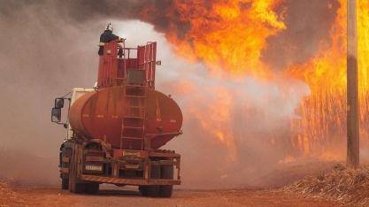 Mais de 50% dos canaviais não vão se recuperar dos incêndios