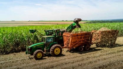 O que esperar do setor de etanol e açúcar em 2025?