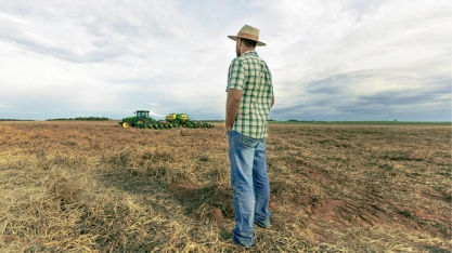Recuperação judicial no agro dispara com custo maior, preço menor e clima