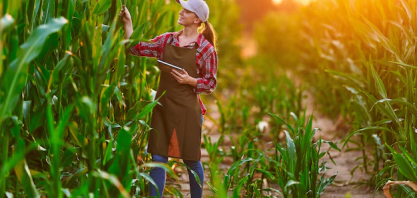 Produtor agrícola acaba tendo um 2024 melhor do que o esperado