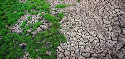 Secas de longa duração serão o 'novo normal' no clima, alerta ONU