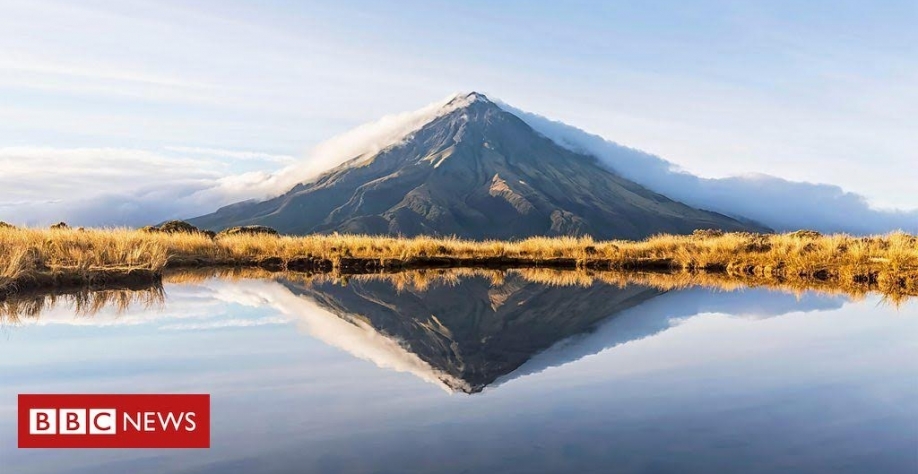 7 boas notícias para o planeta em 2024 que você pode ter perdido