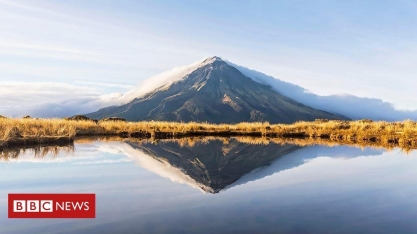 7 boas notícias para o planeta em 2024 que você pode ter perdido