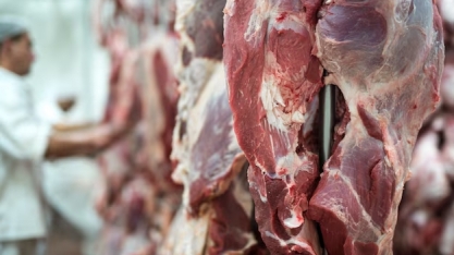 Carne bovina pode liderar produção global, e mira exterior 