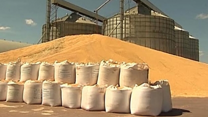 Faltará armazém para a safra recorde de grãos