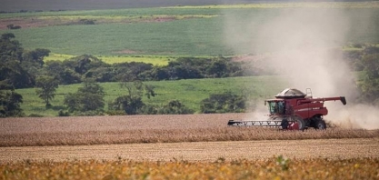 Preço de terras agrícolas mais que dobra em cinco anos