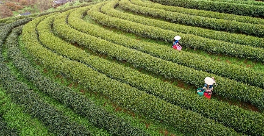 China quer maior produção agrícola e garantir segurança alimentar