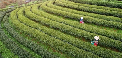 China quer maior produção agrícola e garantir segurança alimentar
