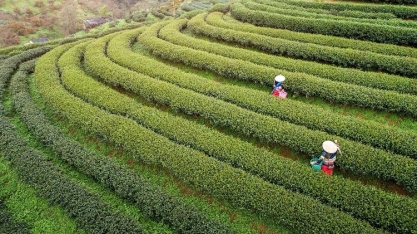 China quer maior produção agrícola e garantir segurança alimentar