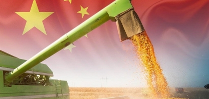 China reduz importação de milho e trigo e registra alta em soja e algodão