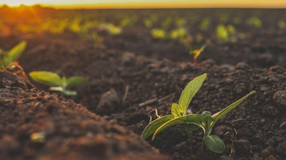 Um plano além da safra: A urgência de inovar o financiamento do agro
