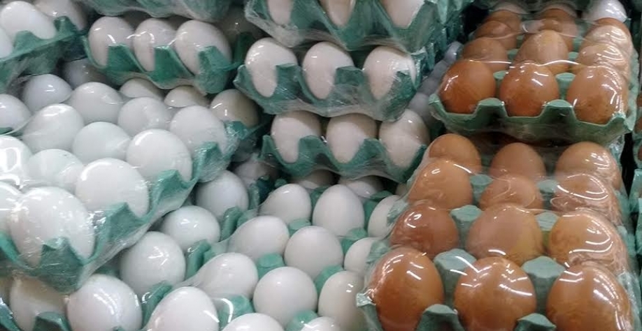 JBS entra no mercado de ovos e adquire 50% da Mantiqueira Alimento