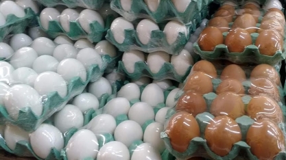 JBS entra no mercado de ovos e adquire 50% da Mantiqueira Alimento