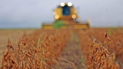 Setor agropecuário tem tudo para retomar um crescimento mais forte em 2025     