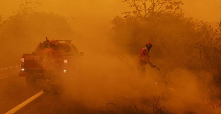 Pantanal teve 17% da área total queimada em 2024,apontam dados de satélite