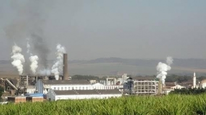 São Martinho faz captação de US$ 165 milhões com a IFC