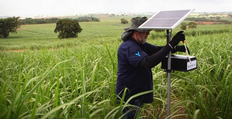SP: Parceria leva 4G para áreas remotas e usa IA para combater pragas