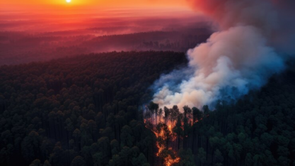 Área de vegetação queimada no Brasil cresceu 79% em 2024, aponta MapBiomas