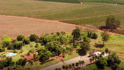 Preço das terras agrícolas teve valorização de 113% nos últimos cinco anos