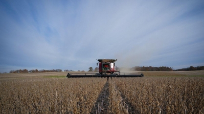 USDA corta estimativas de safras de milho e soja dos EUA e preços sobem