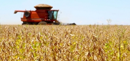 Cadeia da soja e biodiesel mostra resiliência e chega a 23% do PIB do agro