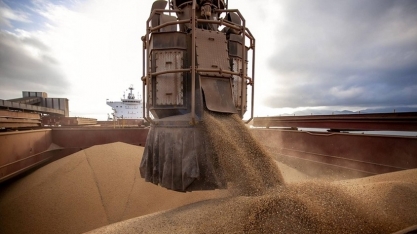 Exportações do agronegócio caíram 1,3% em 2024 com pressão dos grãos