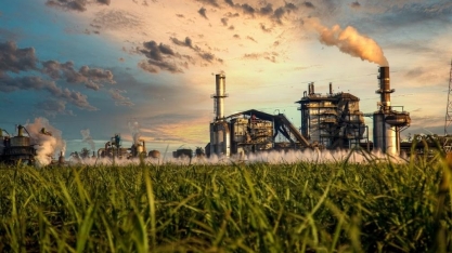 2025 terá acréscimo da capacidade instalada para a biomassa em geral