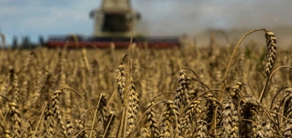 O futuro é agro? O que esperar do agronegócio na próxima década