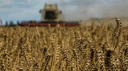 O futuro é agro? O que esperar do agronegócio na próxima década