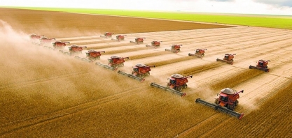 Qual será o impacto da nova supersafra na economia brasileira?   