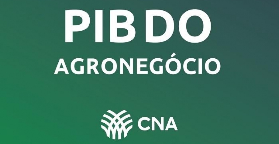 PIB do agro reage no 3º trimestre e recuo esperado para 2024 diminui