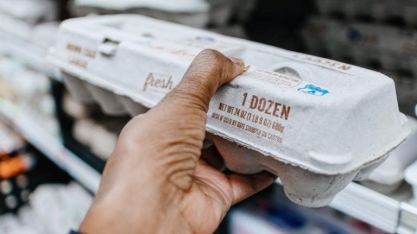 Preços dos ovos disparam nos EUA e começam 2025 até por R$ 50 a dúzia