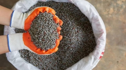 Busca para reduzir dependência de fertilizantes e foco em investidores