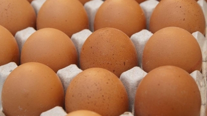 Taxa de exportação da Turquia pode agravar crise de ovos nos EUA