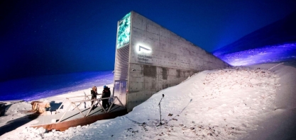 Aos perdedores da guerra com o clima, menos batatas – Por Marcelo Leite