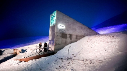 Aos perdedores da guerra com o clima, menos batatas – Por Marcelo Leite