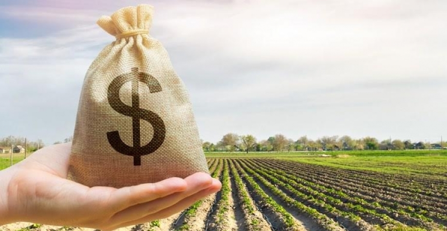 Produtores podem ter desconto nos financiamentos de custeio do Plano Safra