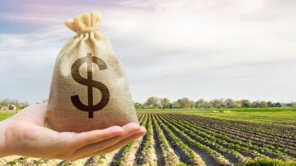 Produtores podem ter desconto nos financiamentos de custeio do Plano Safra
