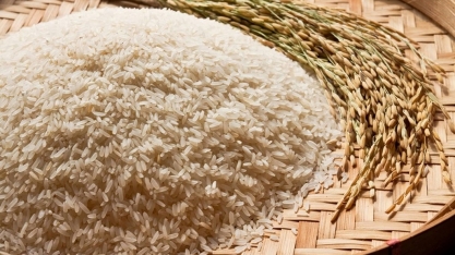 Preços mundiais do arroz tiveram a maior queda mensal desde 2021