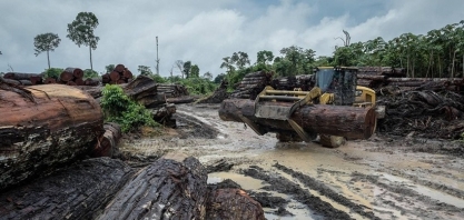 Coalizão Brasil reforça agenda de combate ao desmatamento