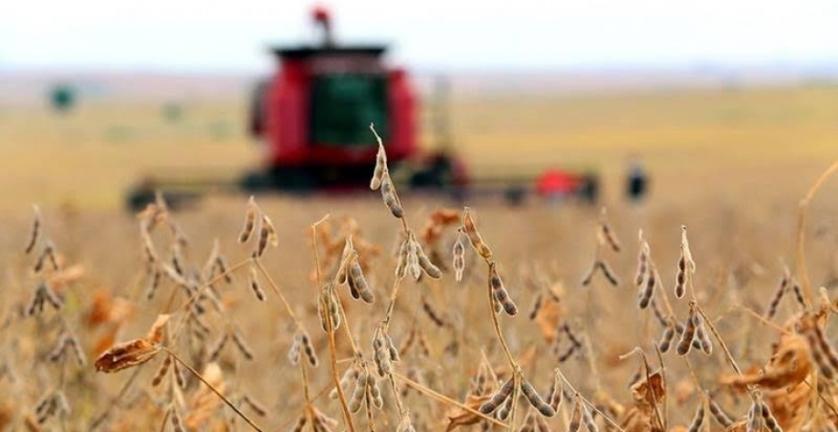 Lei antidesmatamento da UE é embargo comercial disfarçado, diz Aprosoja