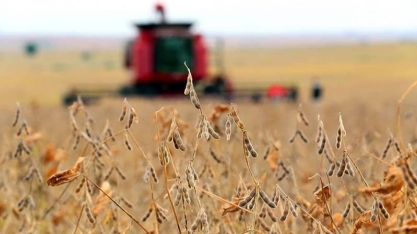 Lei antidesmatamento da UE é embargo comercial disfarçado, diz Aprosoja